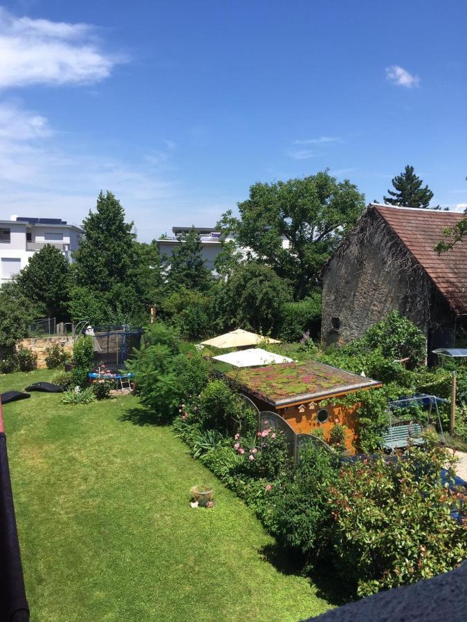 Citynahes Apartment Fur Die Ganze Familie Oder Gruppen In Ruhiger Lage Freiburg im Breisgau Exterior photo